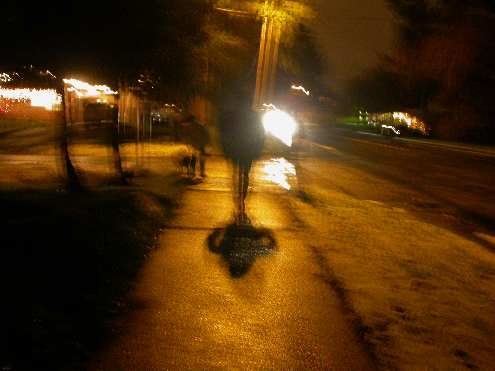 darkwalk.JPG